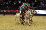 Quadrille - 00155